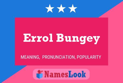 Errol Bungey Name Poster