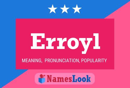 Erroyl Name Poster