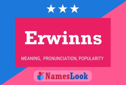 Erwinns Name Poster