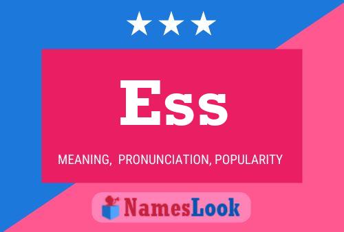 Ess Name Poster