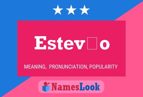 Estevão Name Poster