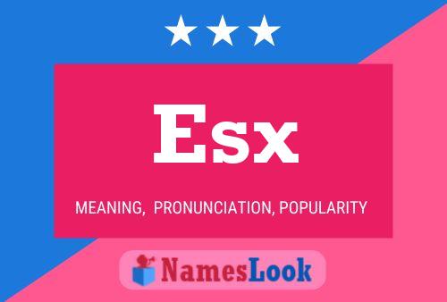 Esx Name Poster