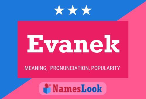 Evanek Name Poster