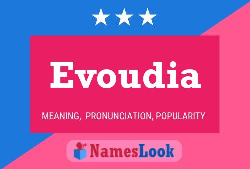 Evoudia Name Poster