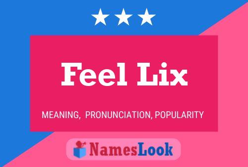 Feel Lix Name Poster