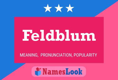 Feldblum Name Poster