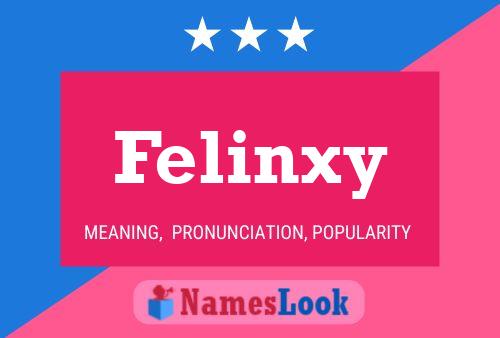 Felinxy Name Poster