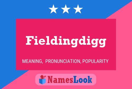 Fieldingdigg Name Poster