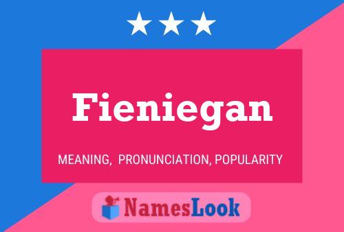 Fieniegan Name Poster