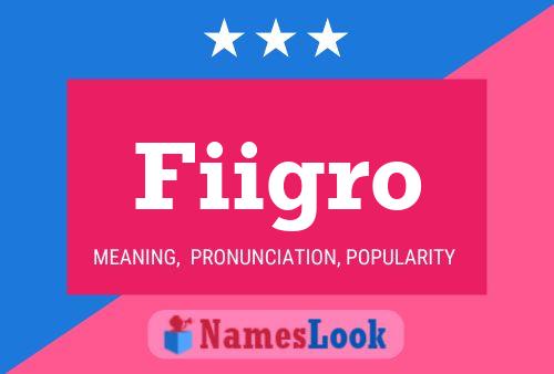 Fiigro Name Poster