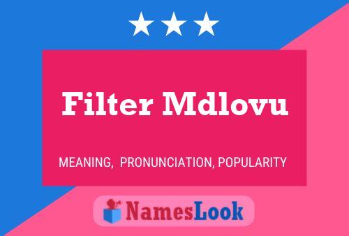 Filter Mdlovu Name Poster