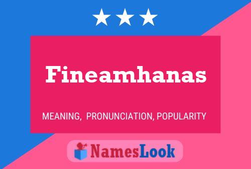 Fineamhanas Name Poster