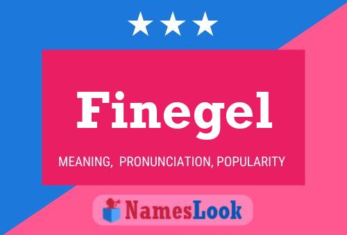 Finegel Name Poster