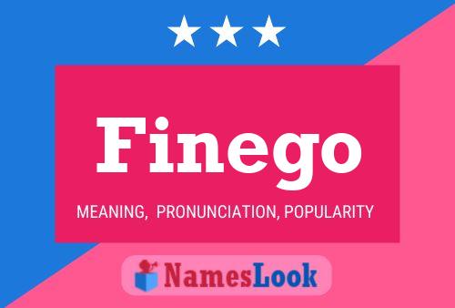 Finego Name Poster