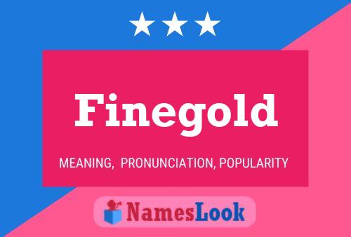 Finegold Name Poster