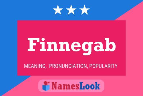 Finnegab Name Poster