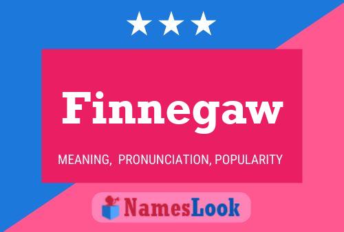 Finnegaw Name Poster