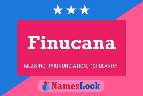 Finucana Name Poster