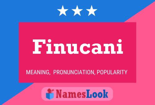 Finucani Name Poster