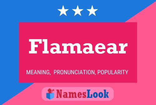 Flamaear Name Poster