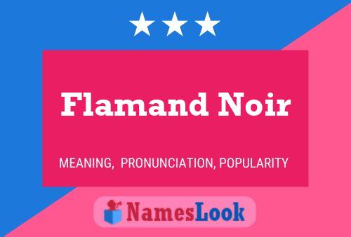 Flamand Noir Name Poster