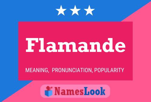 Flamande Name Poster