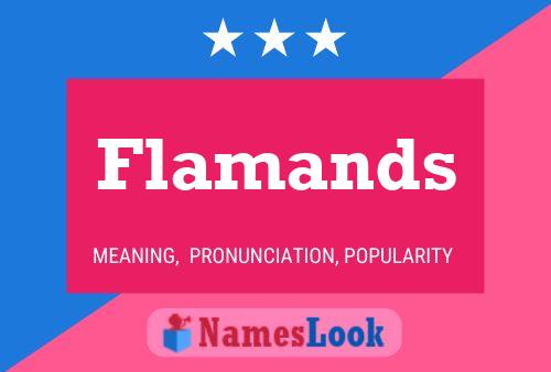 Flamands Name Poster