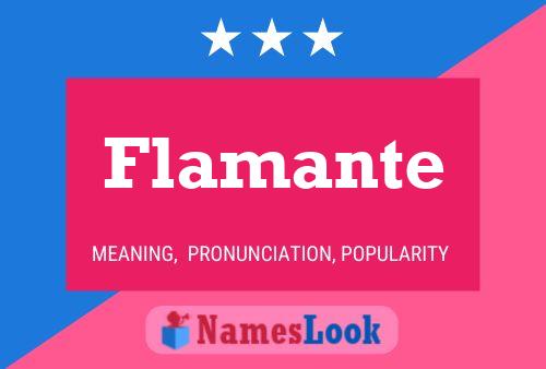 Flamante Name Poster