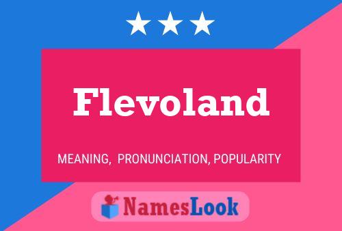 Flevoland Name Poster