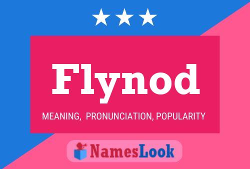 Flynod Name Poster