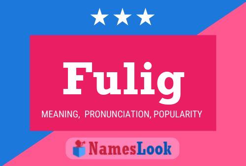 Fulig Name Poster