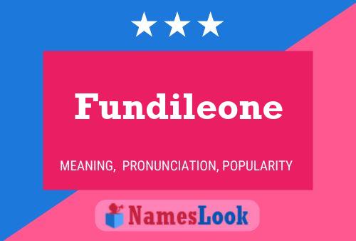 Fundileone Name Poster