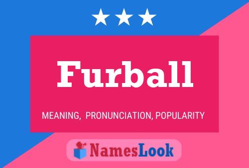 Furball Name Poster