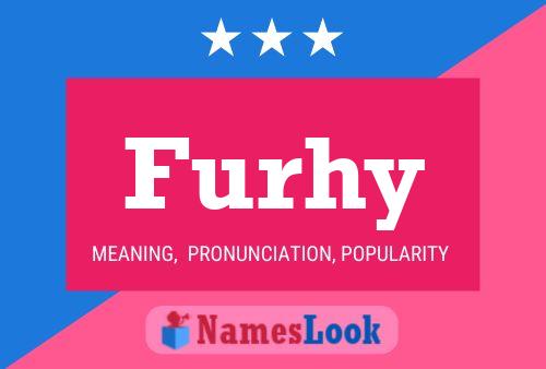 Furhy Name Poster