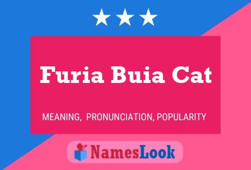 Furia Buia Cat Name Poster