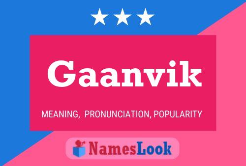 Gaanvik Name Poster