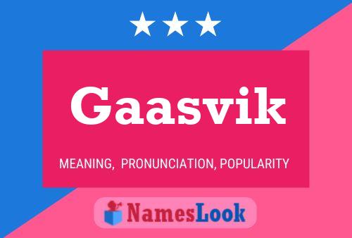 Gaasvik Name Poster