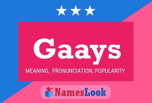 Gaays Name Poster