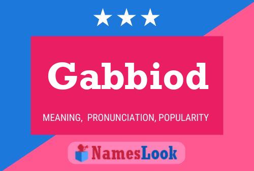 Gabbiod Name Poster