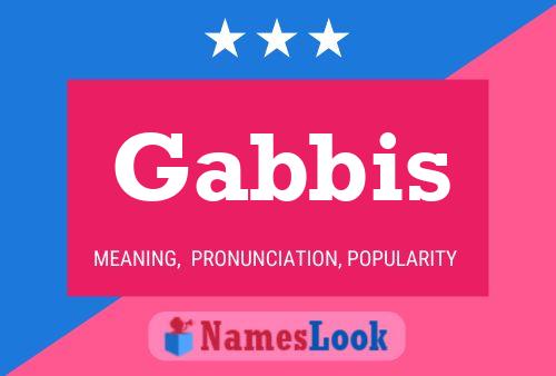 Gabbis Name Poster