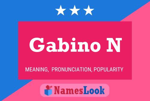 Gabino N Name Poster