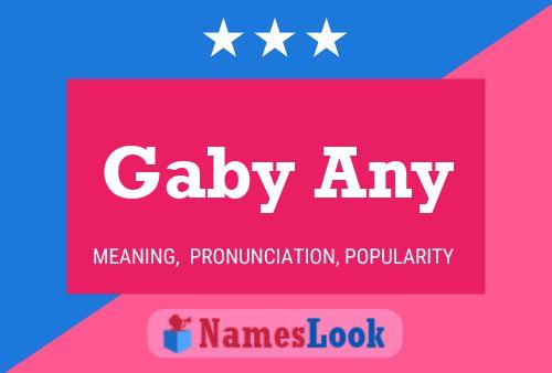 Gaby Any Name Poster