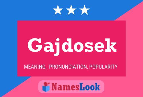 Gajdosek Name Poster