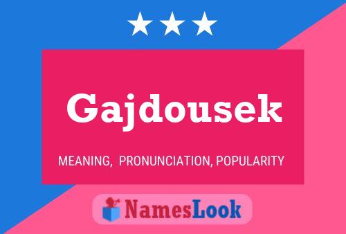 Gajdousek Name Poster