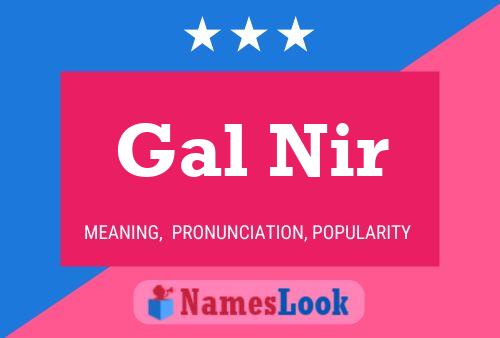 Gal Nir Name Poster