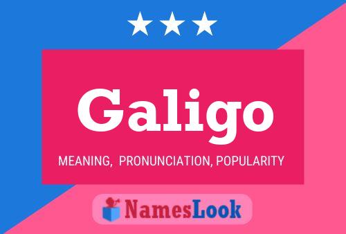 Galigo Name Poster