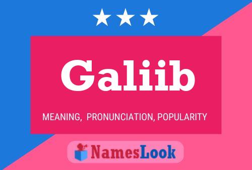 Galiib Name Poster