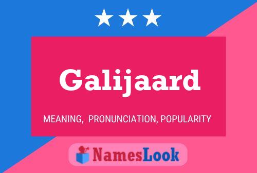 Galijaard Name Poster