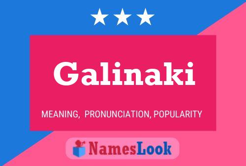 Galinaki Name Poster