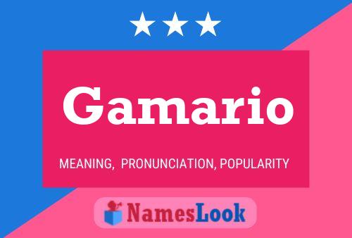 Gamario Name Poster